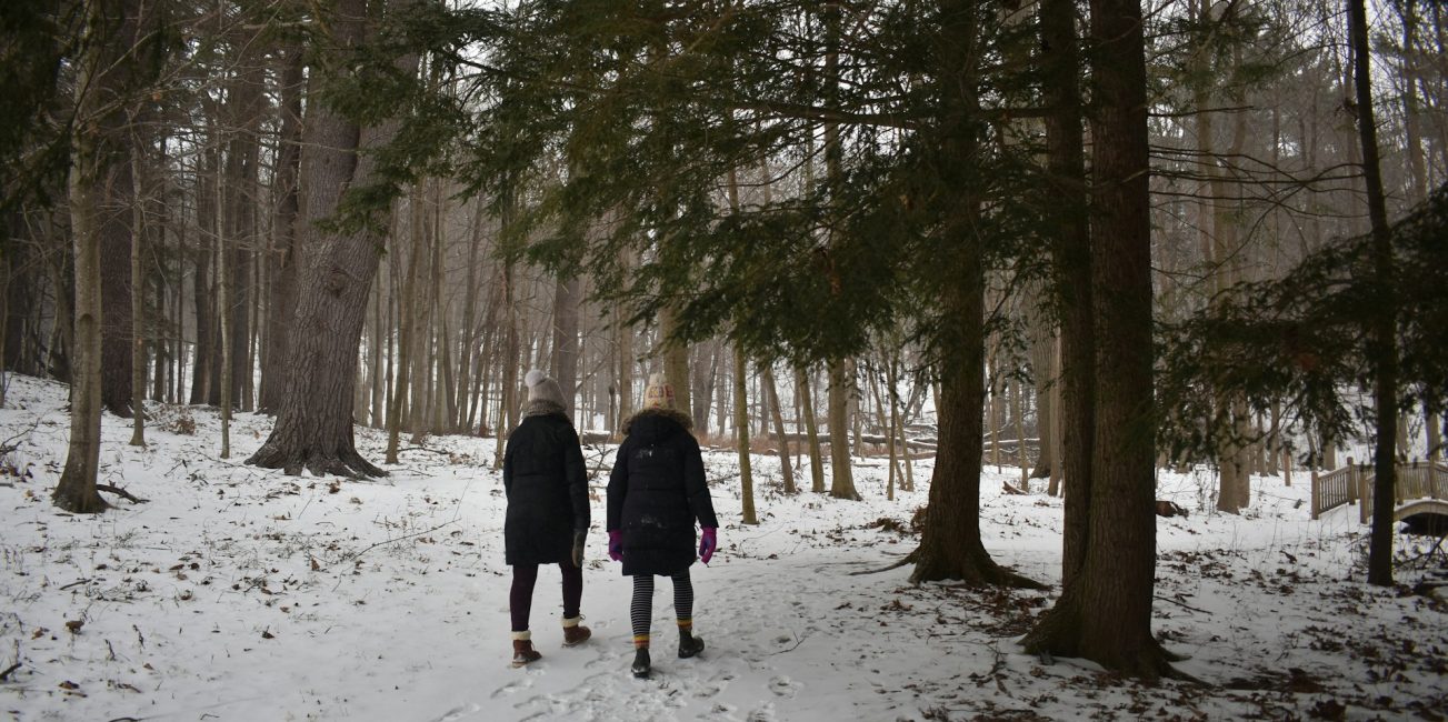 Une randonnée hivernale