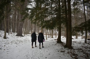 Une randonnée hivernale