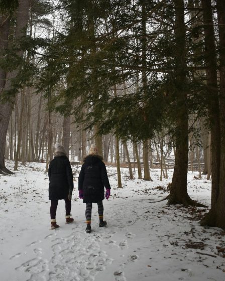 Une randonnée hivernale