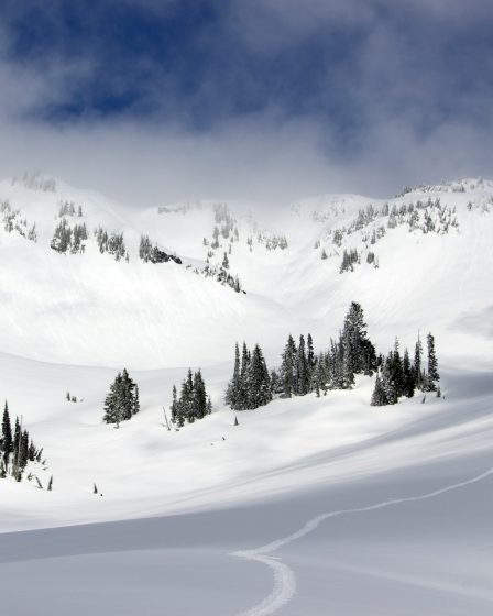 La neige dure en montagne