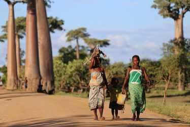 Les meilleures randonnées à Madagascar