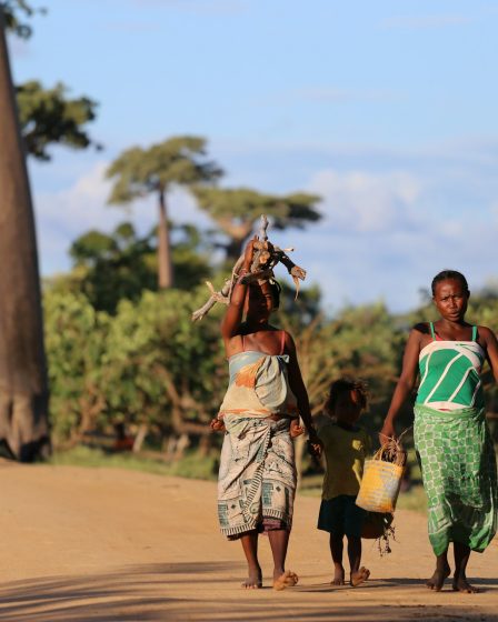 Les meilleures randonnées à Madagascar