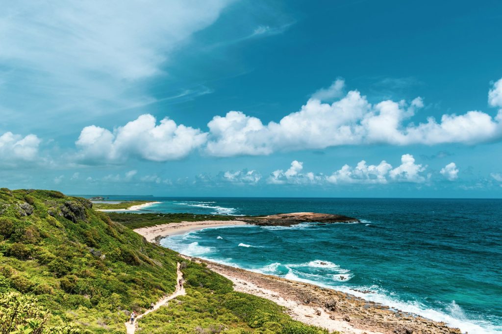 Falaises et récifs de la Pointe des Châteaux battus par les vagues, à l’est de Grande-Terre en Guadeloupe