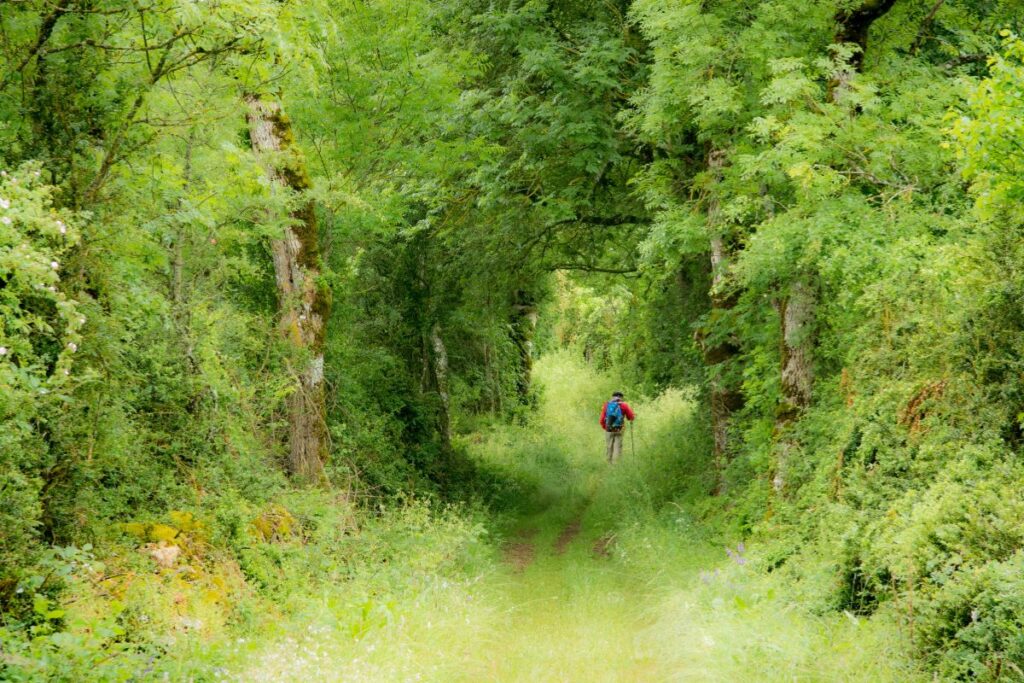 Randonneur sur un sentier caillouteux entre causse et garrigue vers Saint-Guilhem-le-Désert