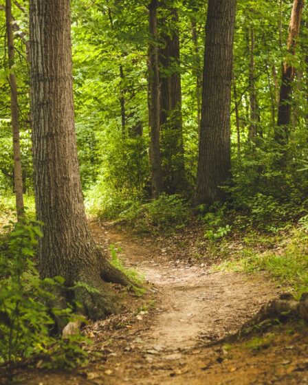 chemin-saint-guilhem-avis
