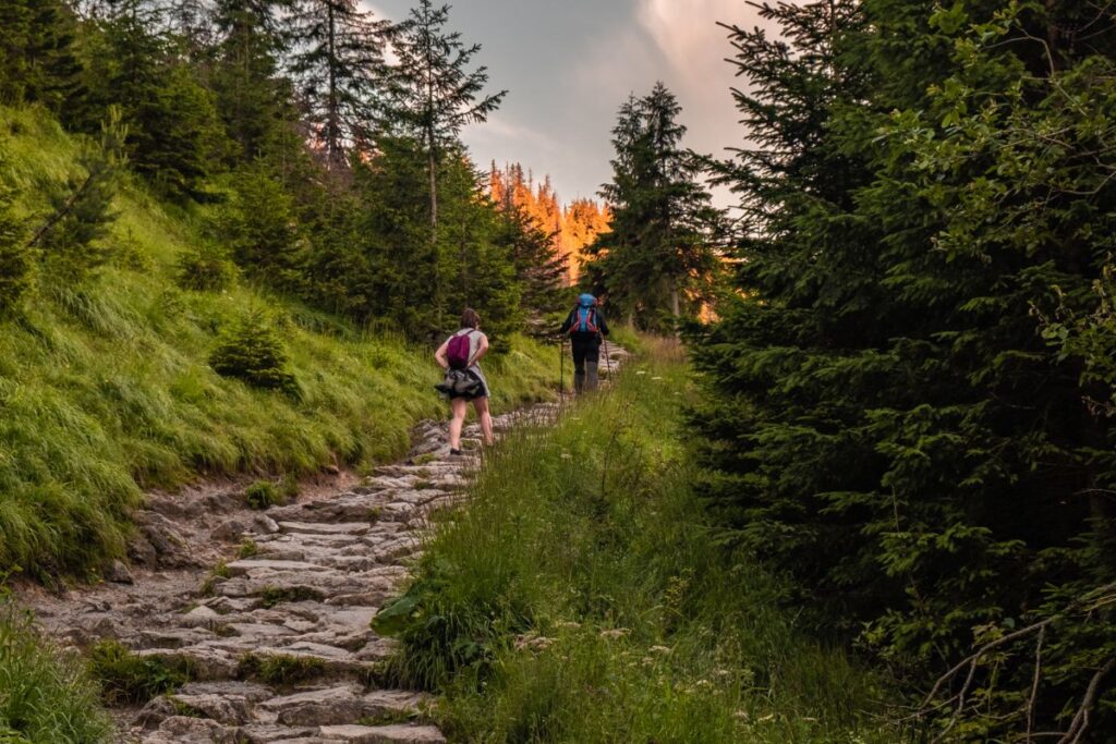 Chemin de Saint-Jacques sur le plateau de l’Aubrac, avec murets de pierre et pâturages, sur le GR65