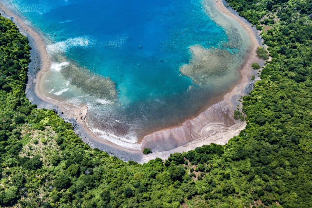 Récif corallien et poissons tropicaux dans les eaux claires du lagon de Mayotte