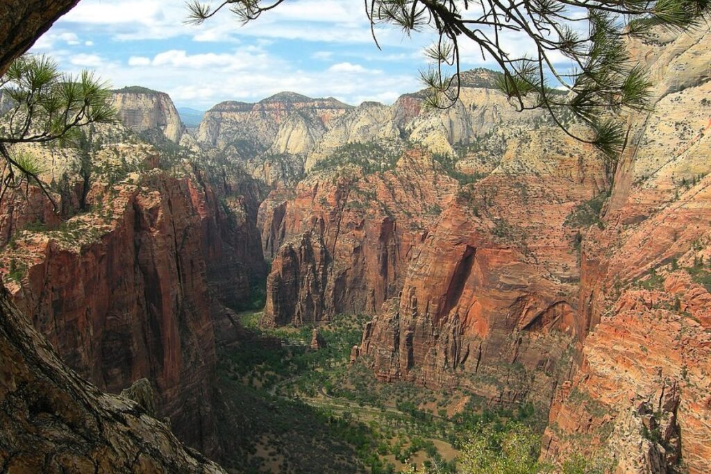 Falaises de grès rouge du canyon de Zion en automne, parc national de Zion, Utah