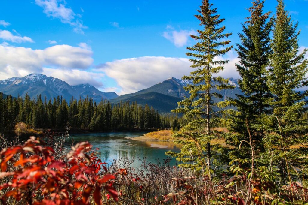Vallon de haute montagne au printemps avec névés et pentes herbeuses, milieu des chamois dans le Parc national des Écrins