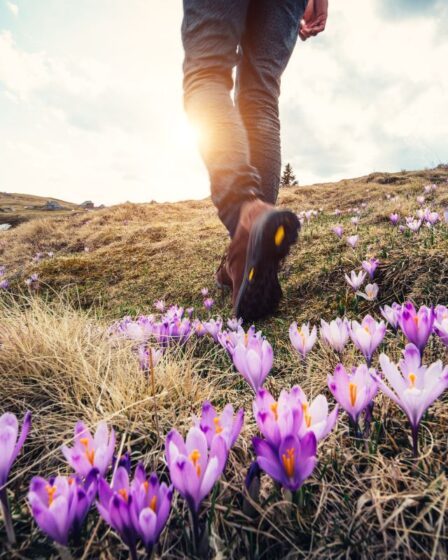 randonnee-printemps ou aller