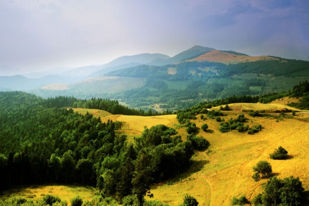 Sommet arrondi du Grand Ballon et crêtes des Vosges au printemps